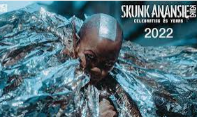 Skunk Anansie 2 bilety Kraków